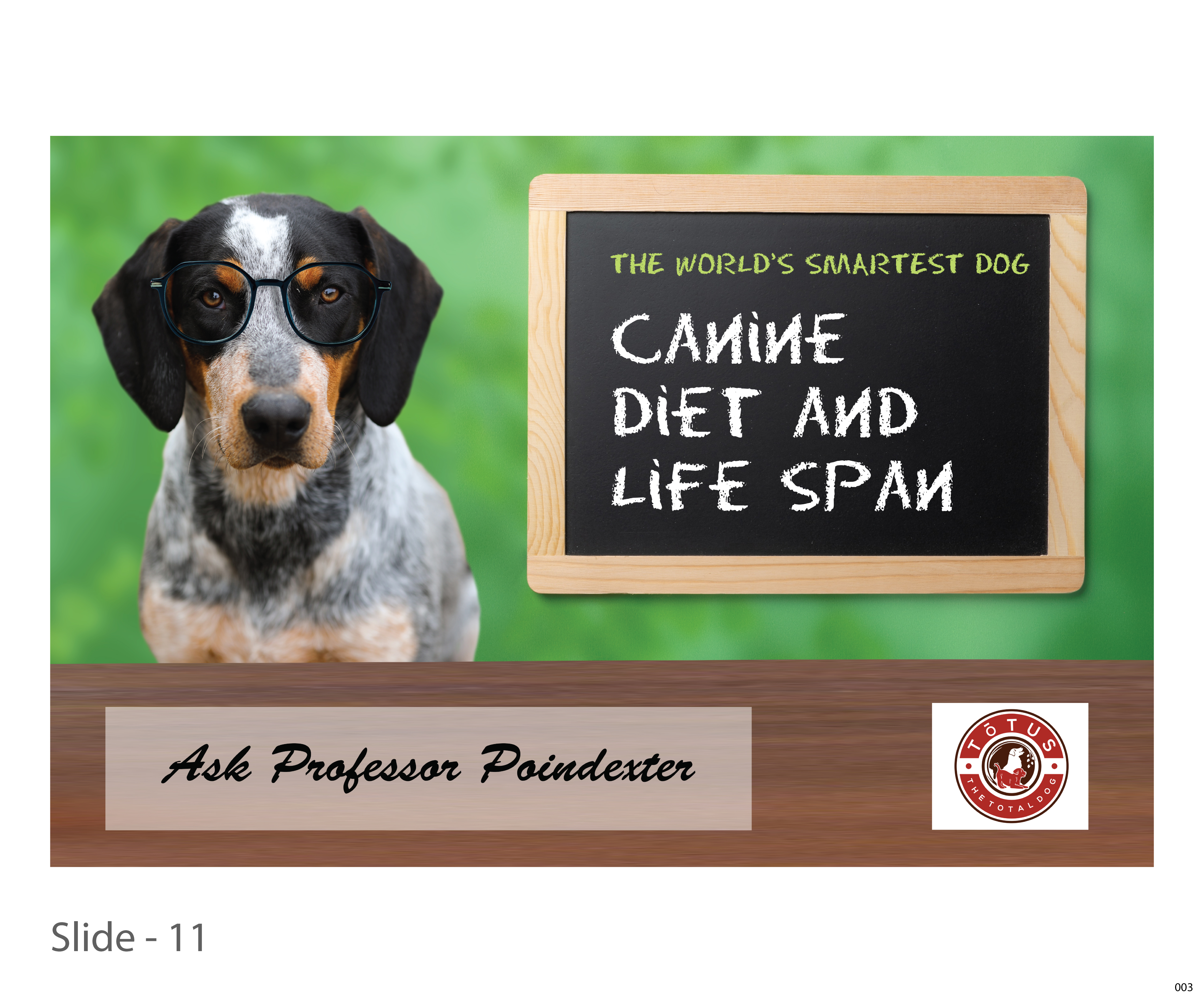 Grafik-Design von jnh für Actus Analytical, Inc. | Design #28102013