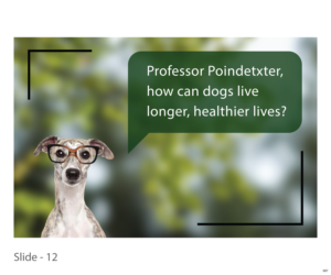 Grafik-Design von jnh für Actus Analytical, Inc. | Design: #28103357