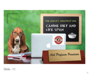 Grafik-Design von jnh für Actus Analytical, Inc. | Design: #28106256