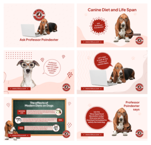 Grafik-Design von hover für Actus Analytical, Inc. | Design: #28109413