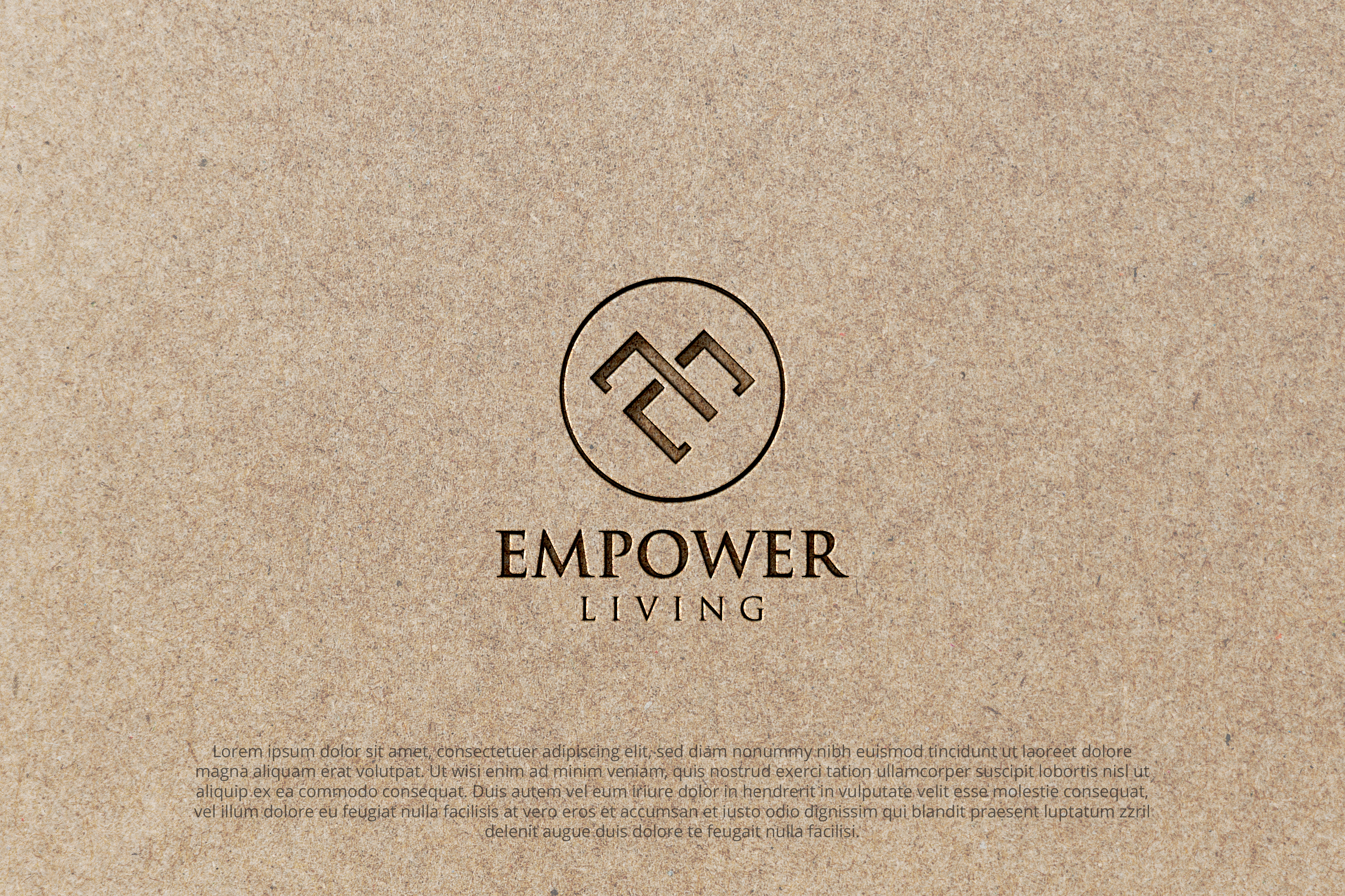 Logo-Design von Balvin Design für Silver Linings Management | Design #28074125