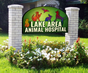Logo Design by vincent.designpro for Maplewood Animal Hospital | Design: #28087809