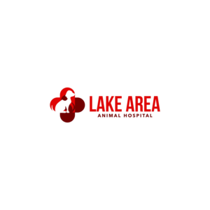 Logo Design by Jeferson HP