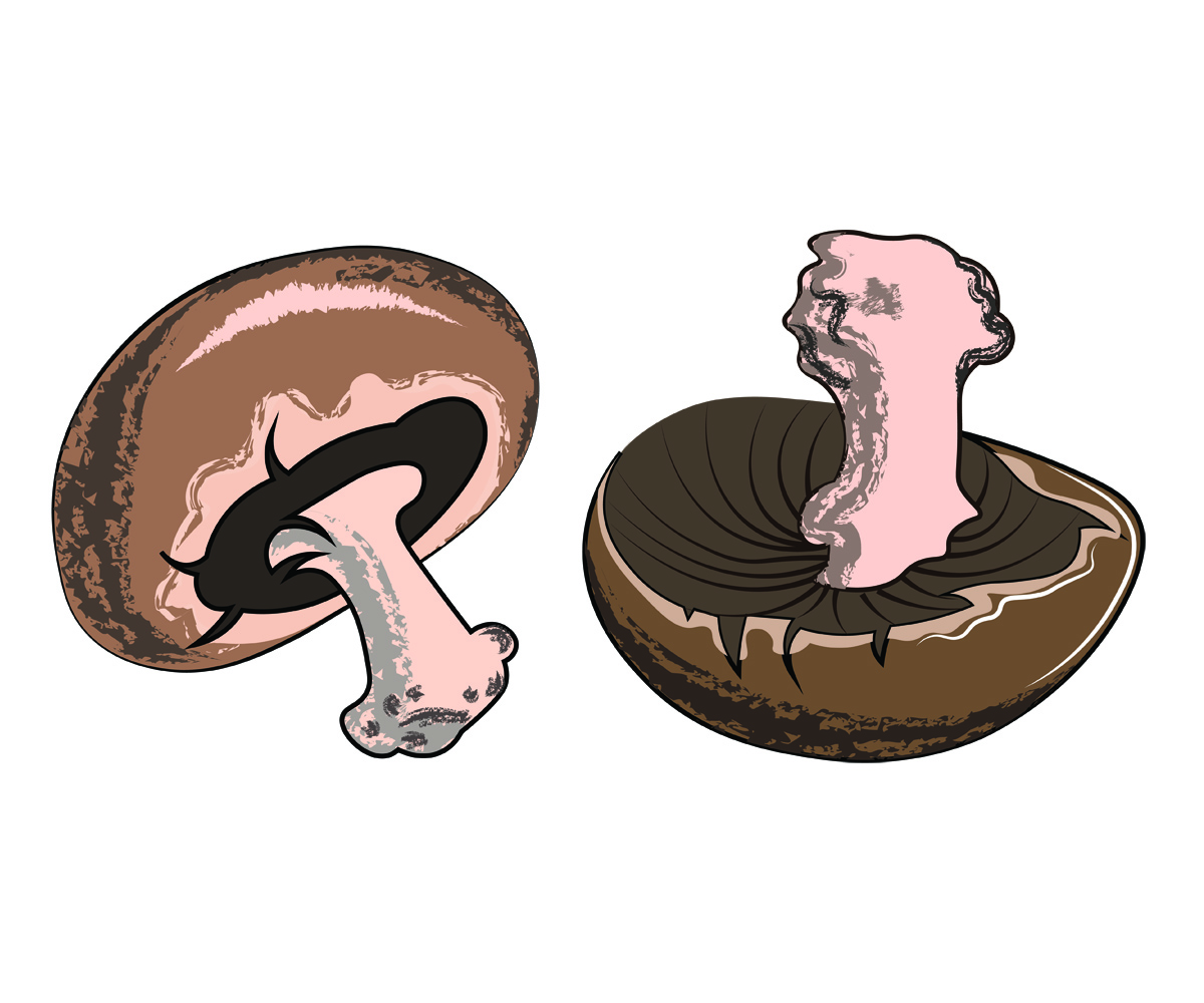 Illustration Design by branding2biz for Charred Kitchen and Bar | Design #28150052