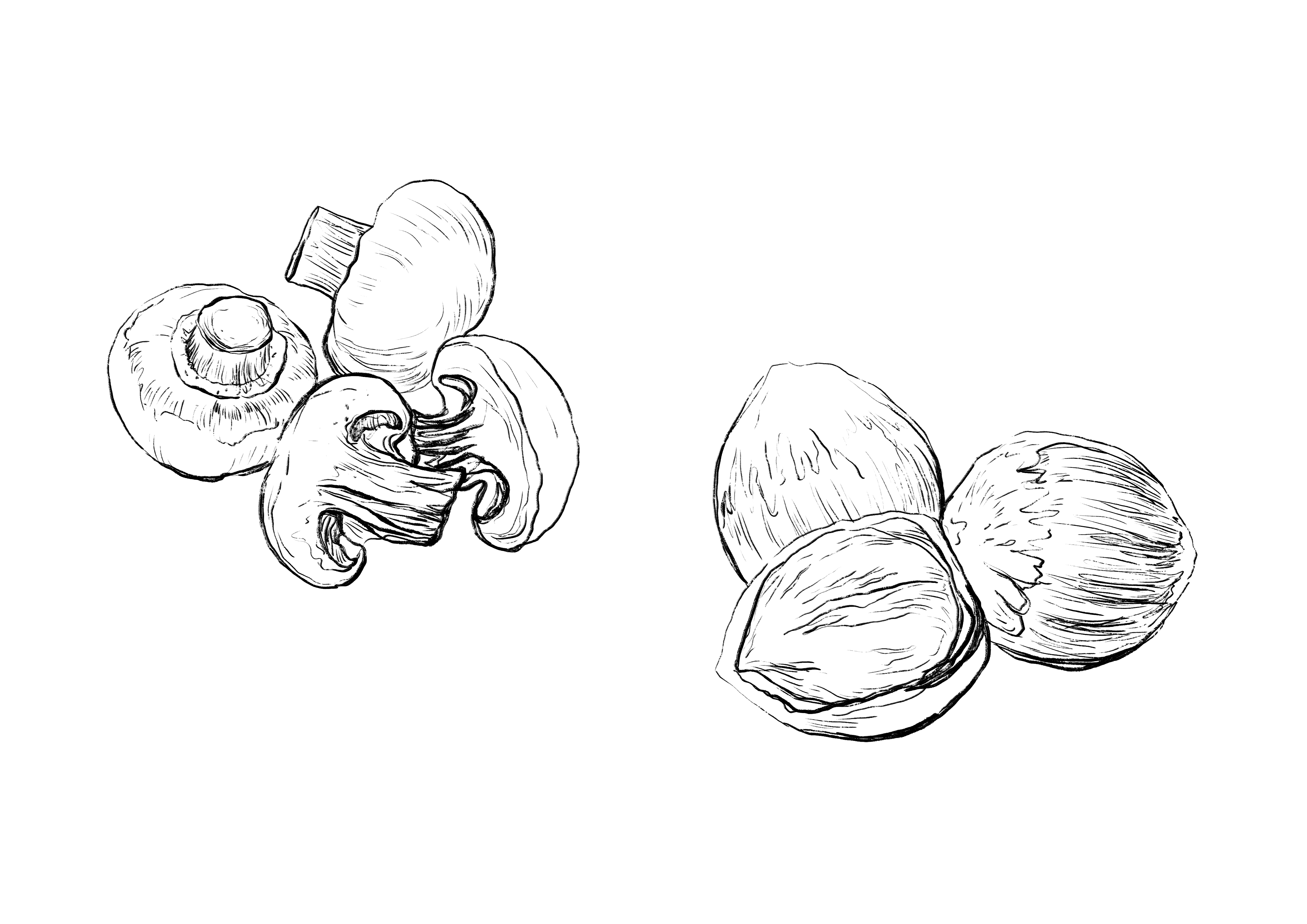 Illustration Design by mrsff for Charred Kitchen and Bar | Design #28105892