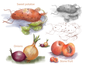 Illustrations for Restaurant Menu | Diseño Con Ilustración por dawn24