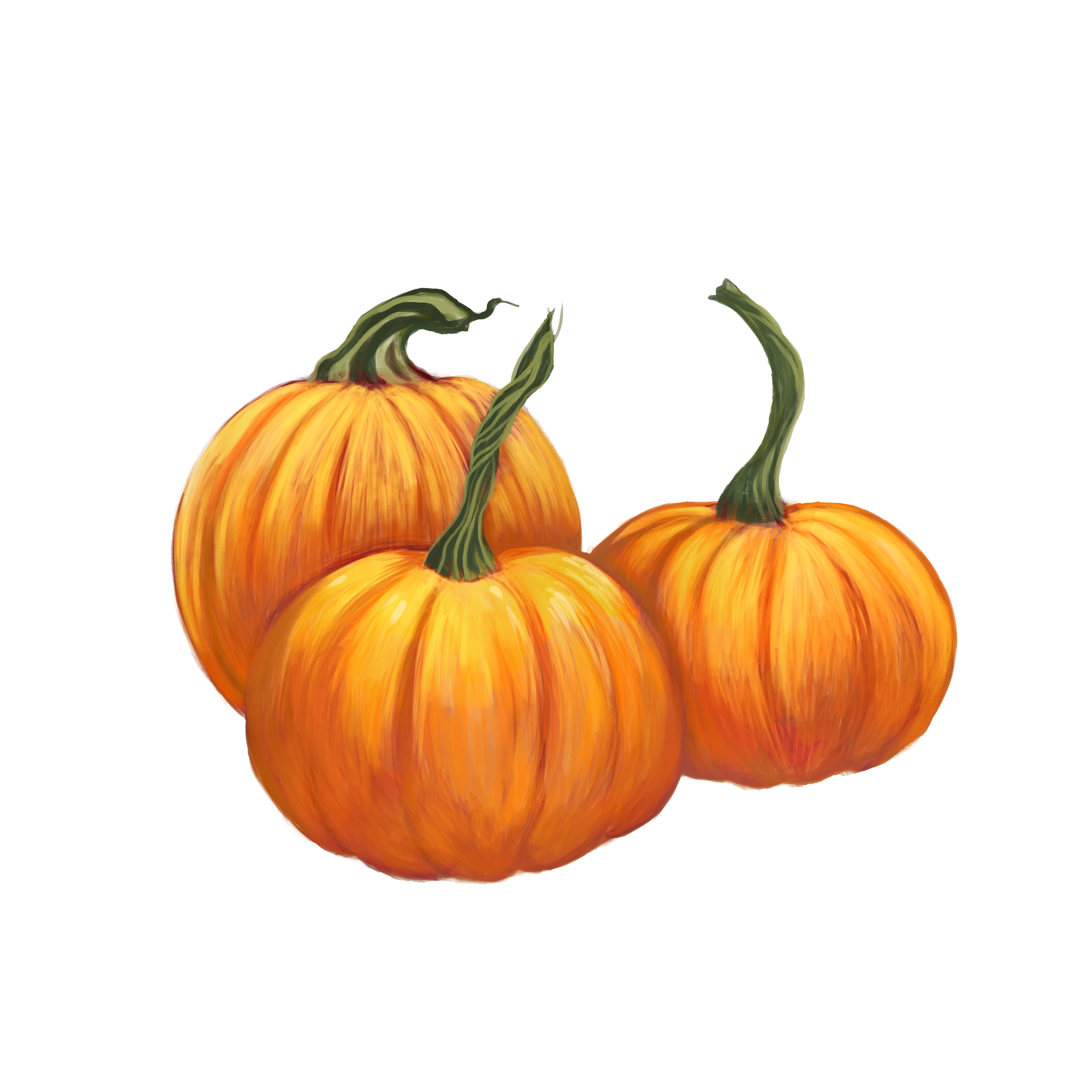 Illustration Design by Pudja Pratama Sakti for Charred Kitchen and Bar | Design #28114879