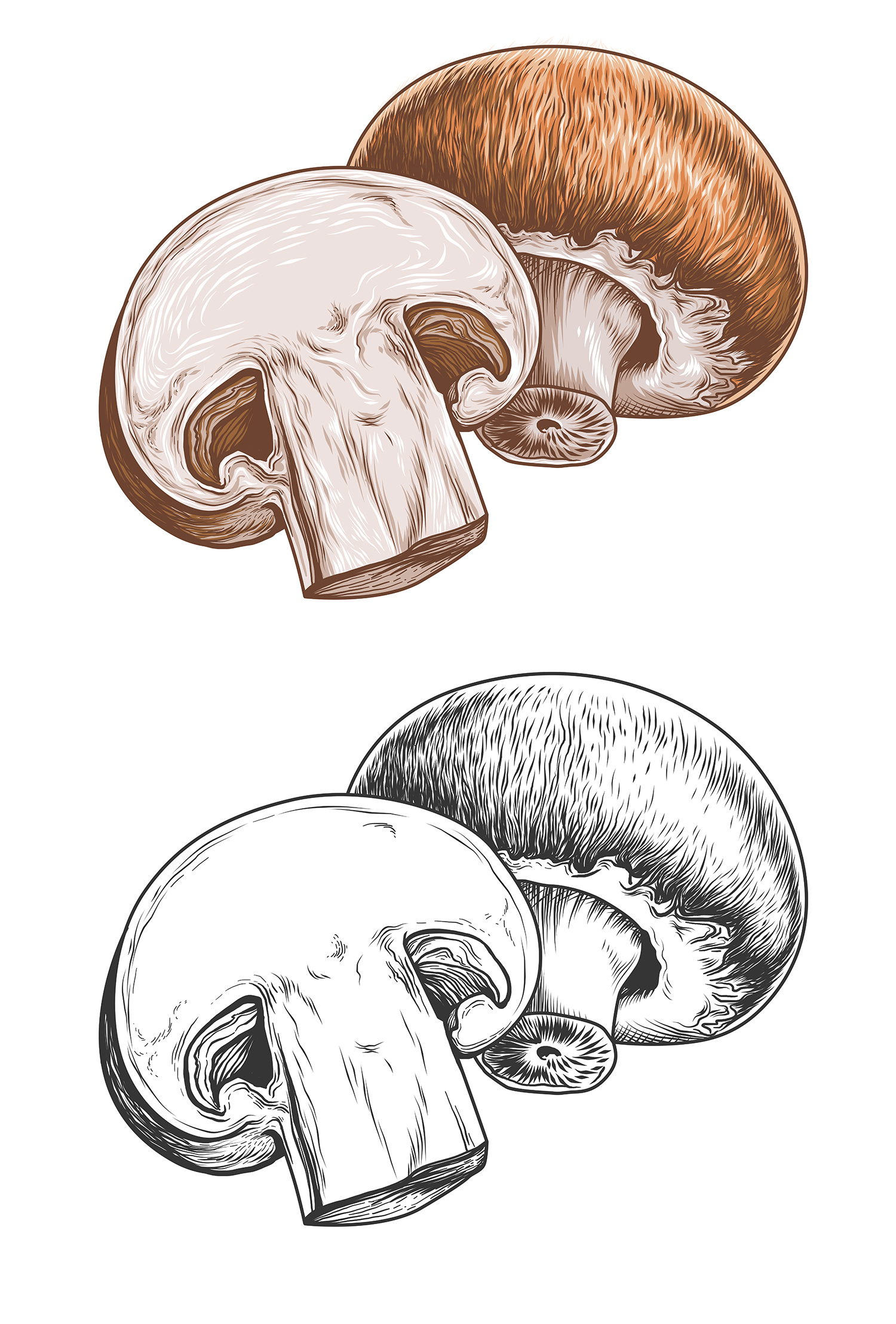 Illustration Design by icirotrisna for Charred Kitchen and Bar | Design #28122416