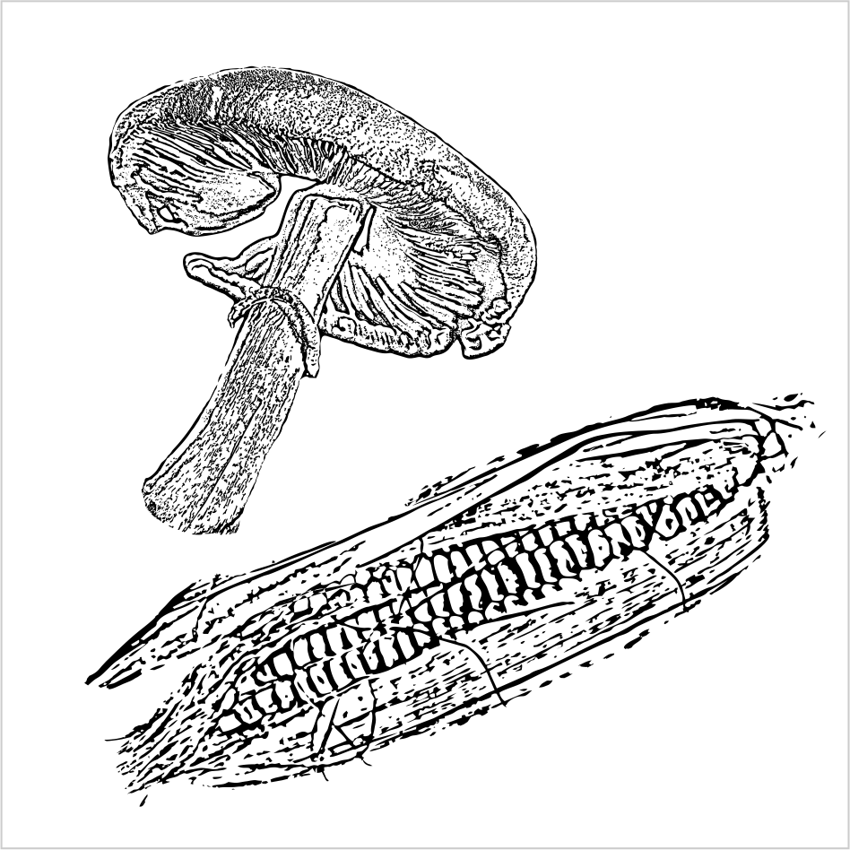 Illustration Design by 81y179 for Charred Kitchen and Bar | Design #28153158