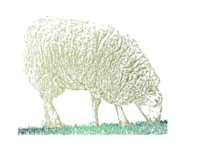 Illustration Design by 81y179 for Charred Kitchen and Bar | Design: #28161906