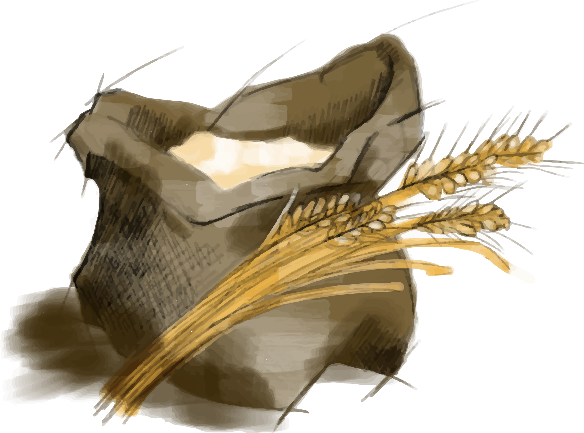 Illustration Design by ioio for Charred Kitchen and Bar | Design #28138718