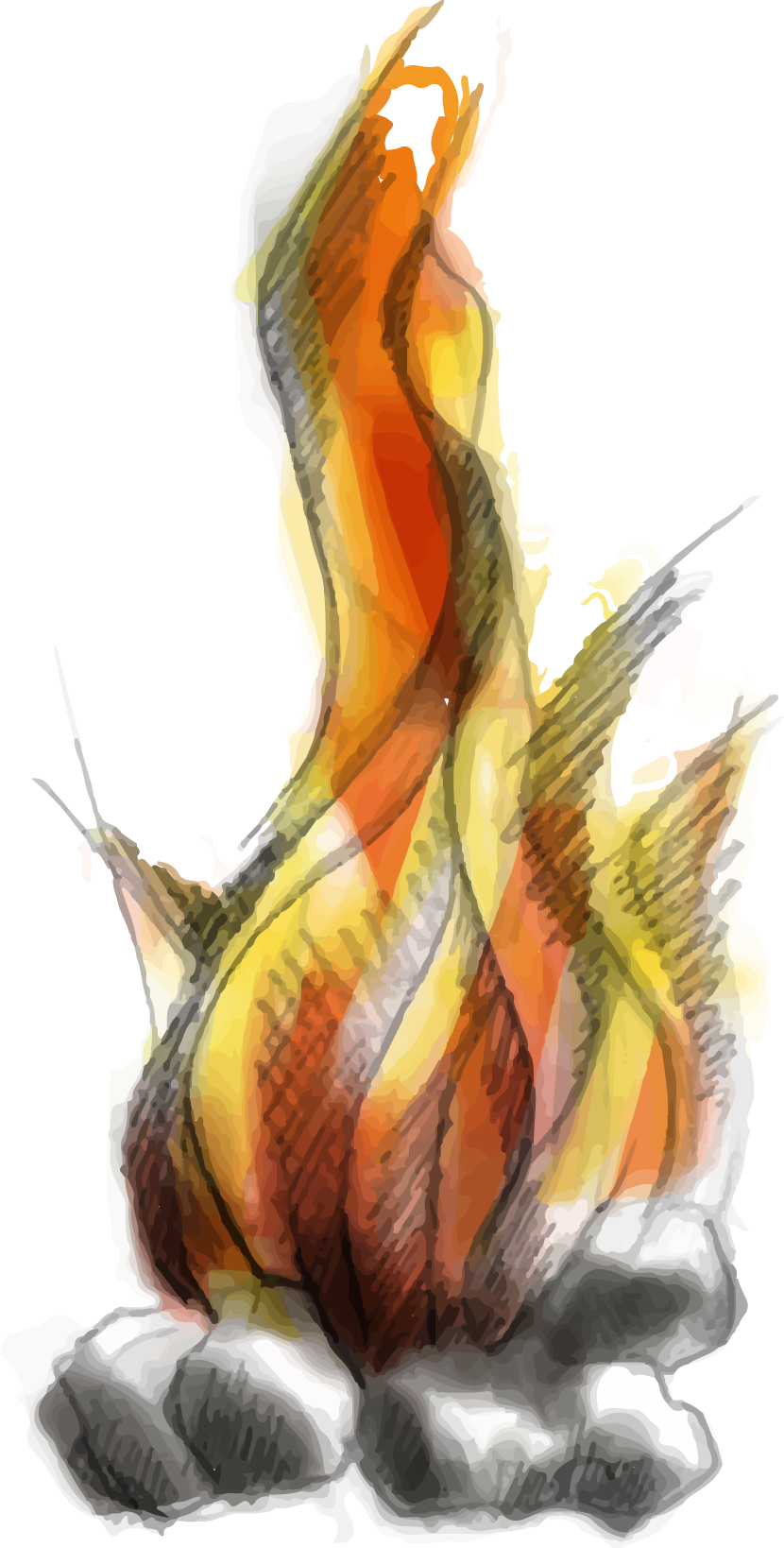 Illustration Design by ioio for Charred Kitchen and Bar | Design #28138720