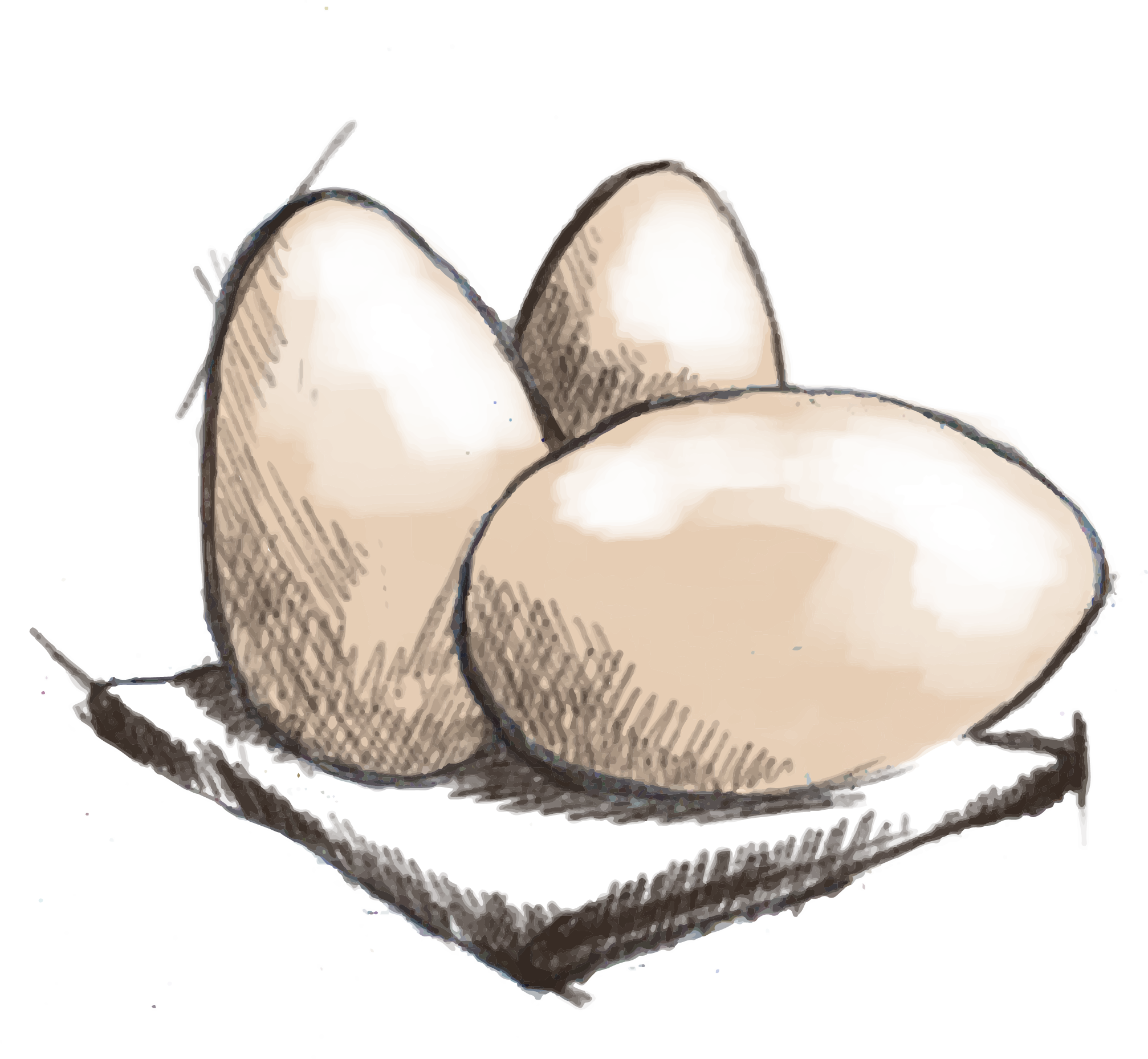 Illustration Design by ioio for Charred Kitchen and Bar | Design #28138722