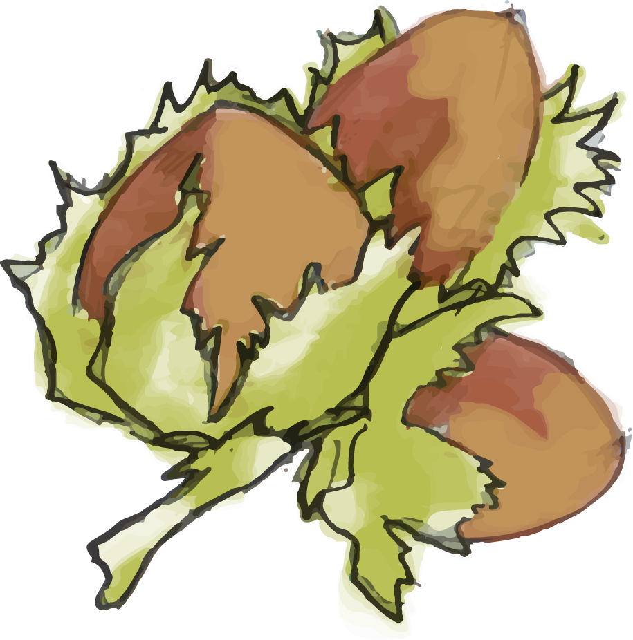 Illustration Design by ioio for Charred Kitchen and Bar | Design #28138734