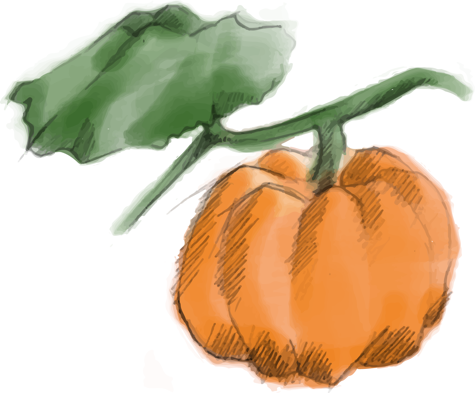 Illustration Design by ioio for Charred Kitchen and Bar | Design #28138736