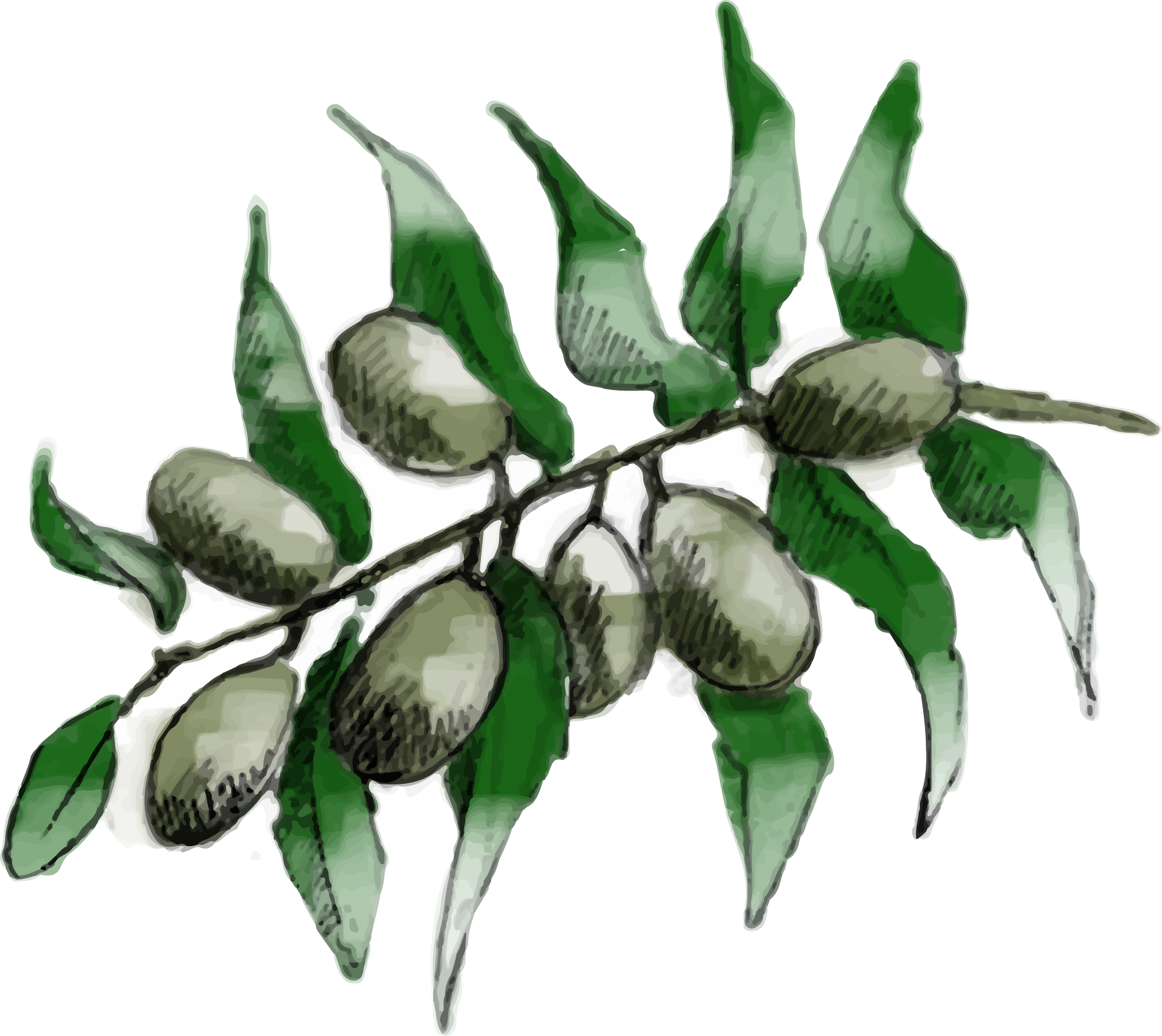 Illustration Design by ioio for Charred Kitchen and Bar | Design #28138737