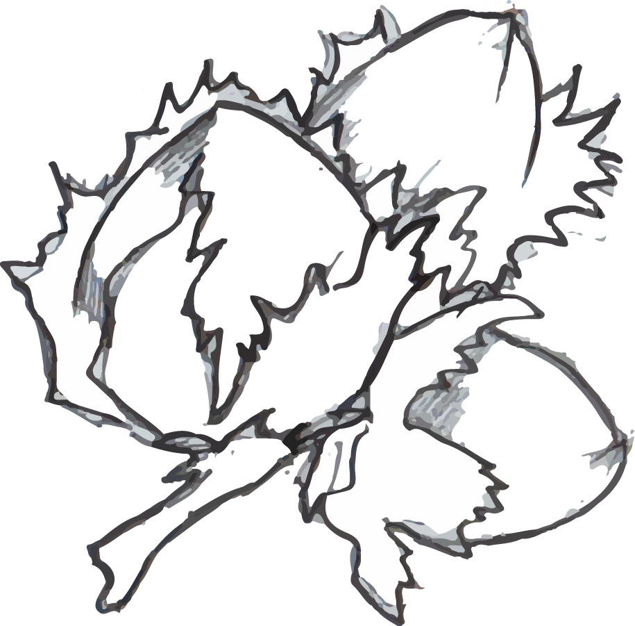 Illustration Design by ioio for Charred Kitchen and Bar | Design #28139805