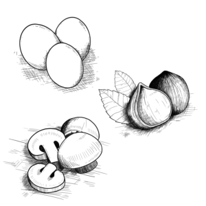 Illustration Design by Fawz