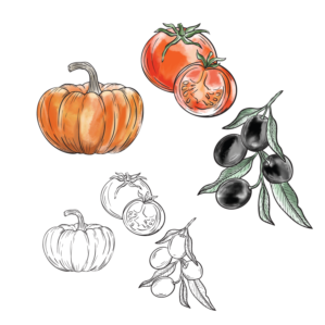 Illustrations for Restaurant Menu | Illustration Design by Samantha Ward Design