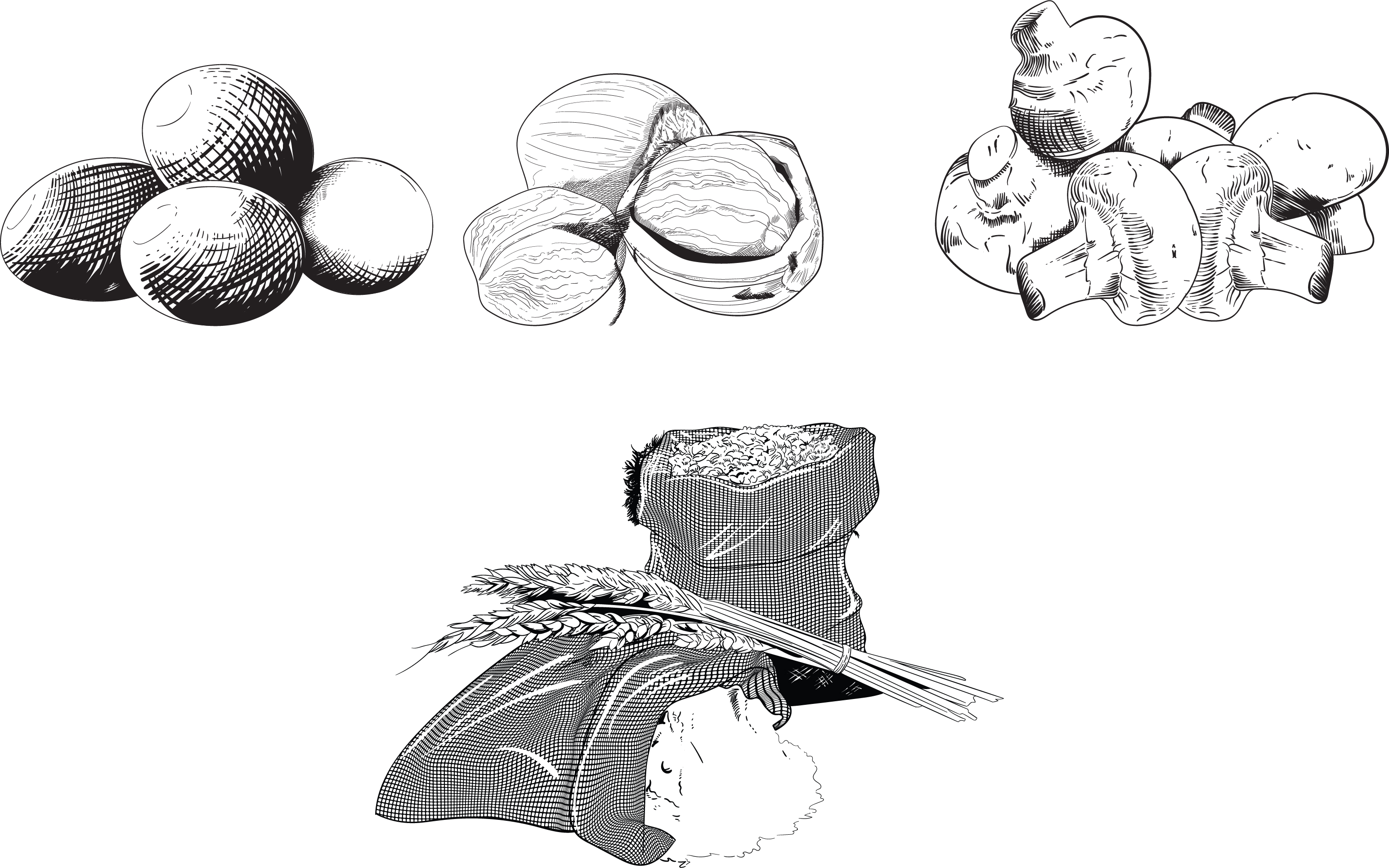 Illustration Design by Notoasto for Charred Kitchen and Bar | Design #28113649