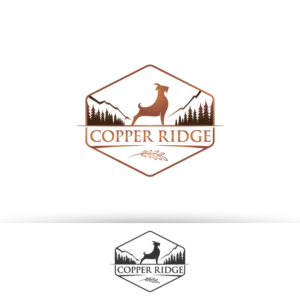 Logo Design by logoford for this project | Design #28096109