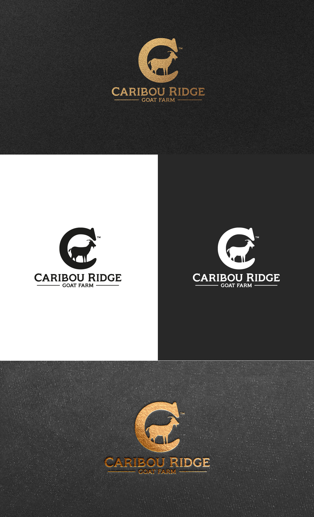 Design de Logo par GLDesigns pour ce projet | Design #28094873