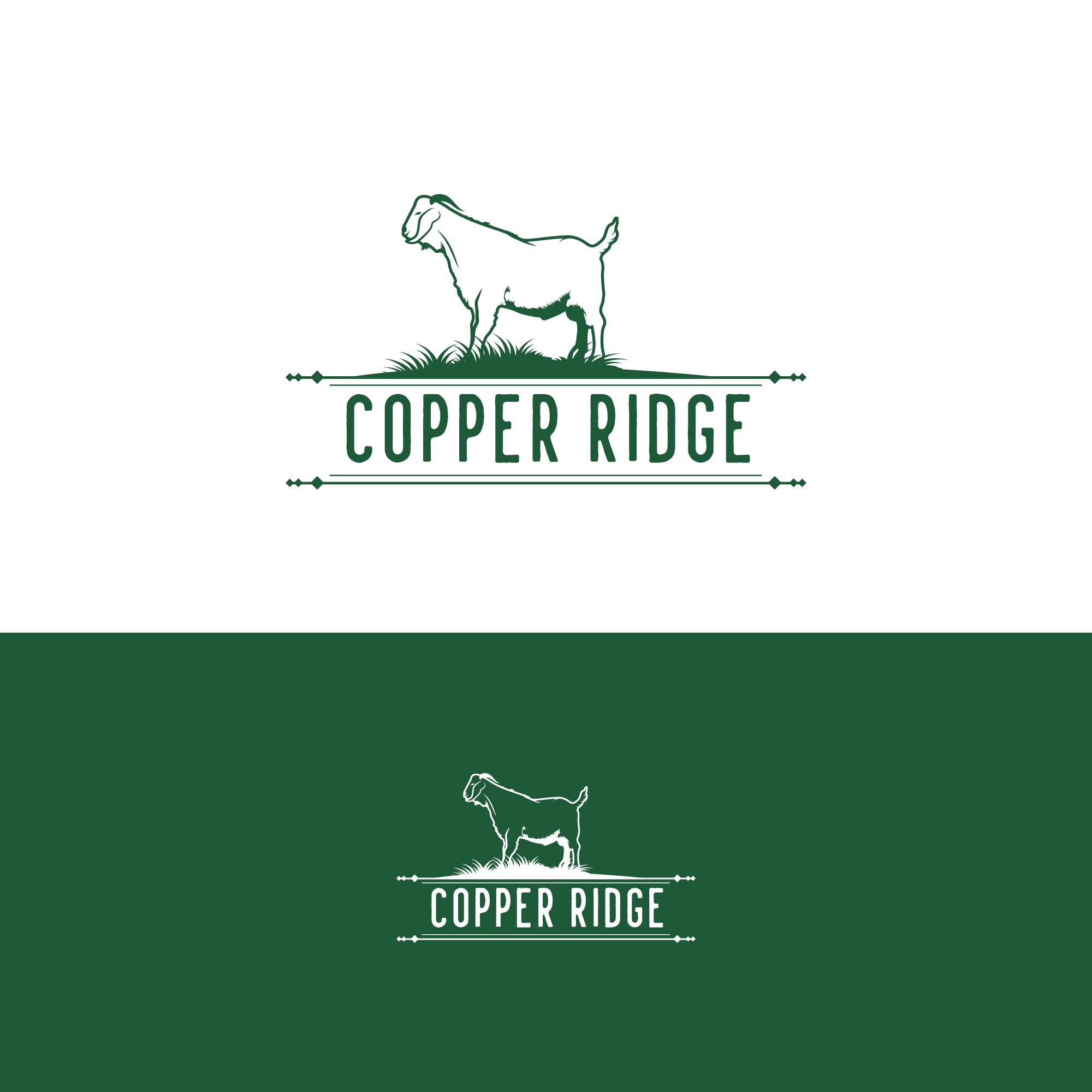 Logo Design by creative.bugs for this project | Design #28098664