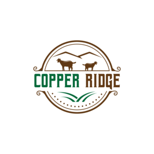 Logo Design by LAXMI DESIGNHUB for this project | Design #28097423