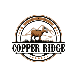 Logo Design by RAMDHONU for this project | Design #28103539
