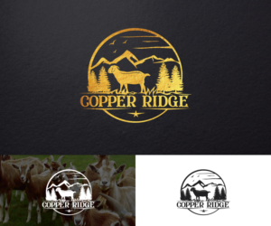 Logo Design by step forward 2 for this project | Design: #28096273