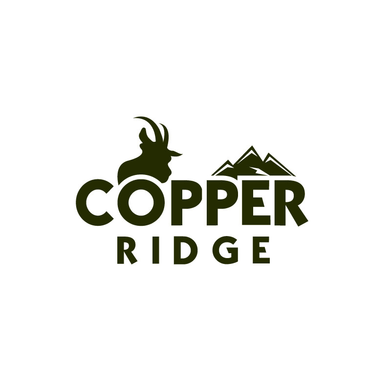 Logo Design by Ansh Design for this project | Design #28098369