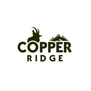 Logo Design by Ansh Design for this project | Design: #28098369