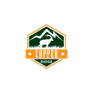 Logo Design by Ansh Design for this project | Design: #28098370