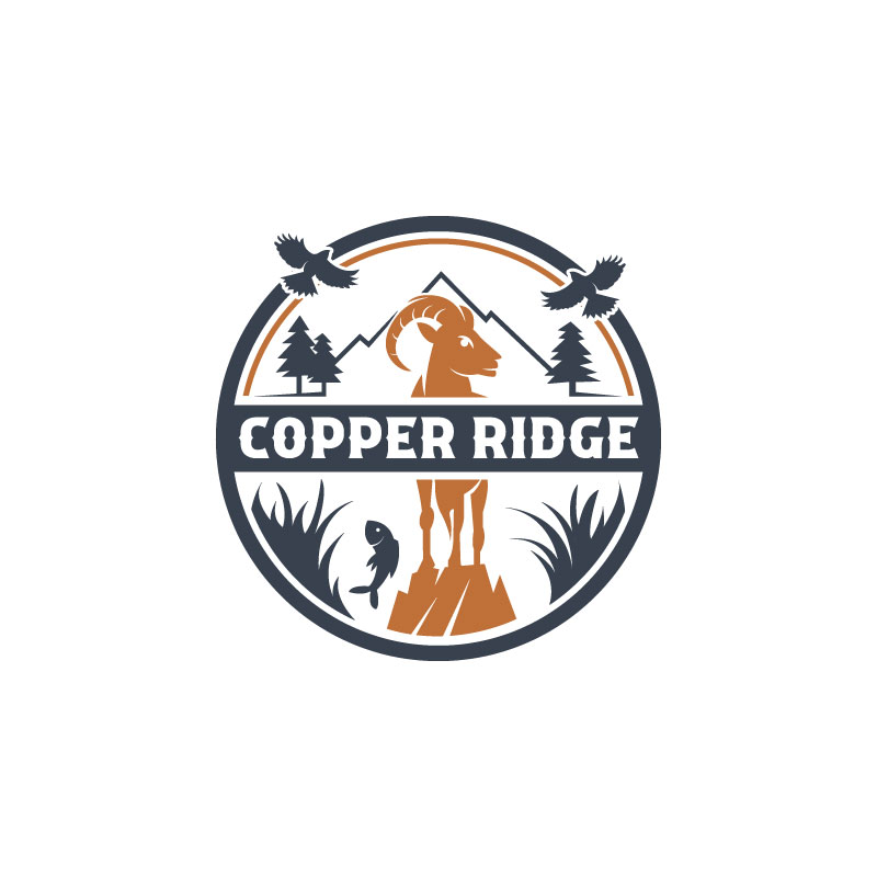 Design de Logo par Ansh Design pour ce projet | Design #28098371