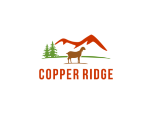 Logo Design by BNdesigner for this project | Design: #28114653