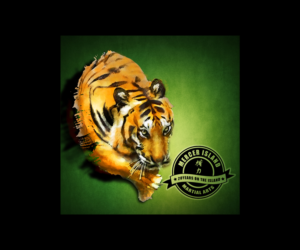 T-shirt Design by vincent.designpro for Mercer Island Martial Arts | Design: #28100318