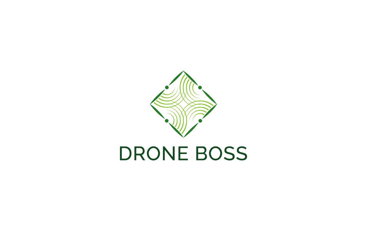 Logo Design by Radu Borzea for this project | Design #28102760