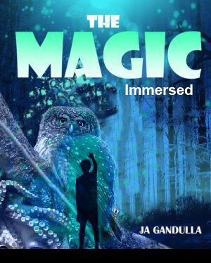 Book Cover Design by AnninWonderland for this project | Design #28125366