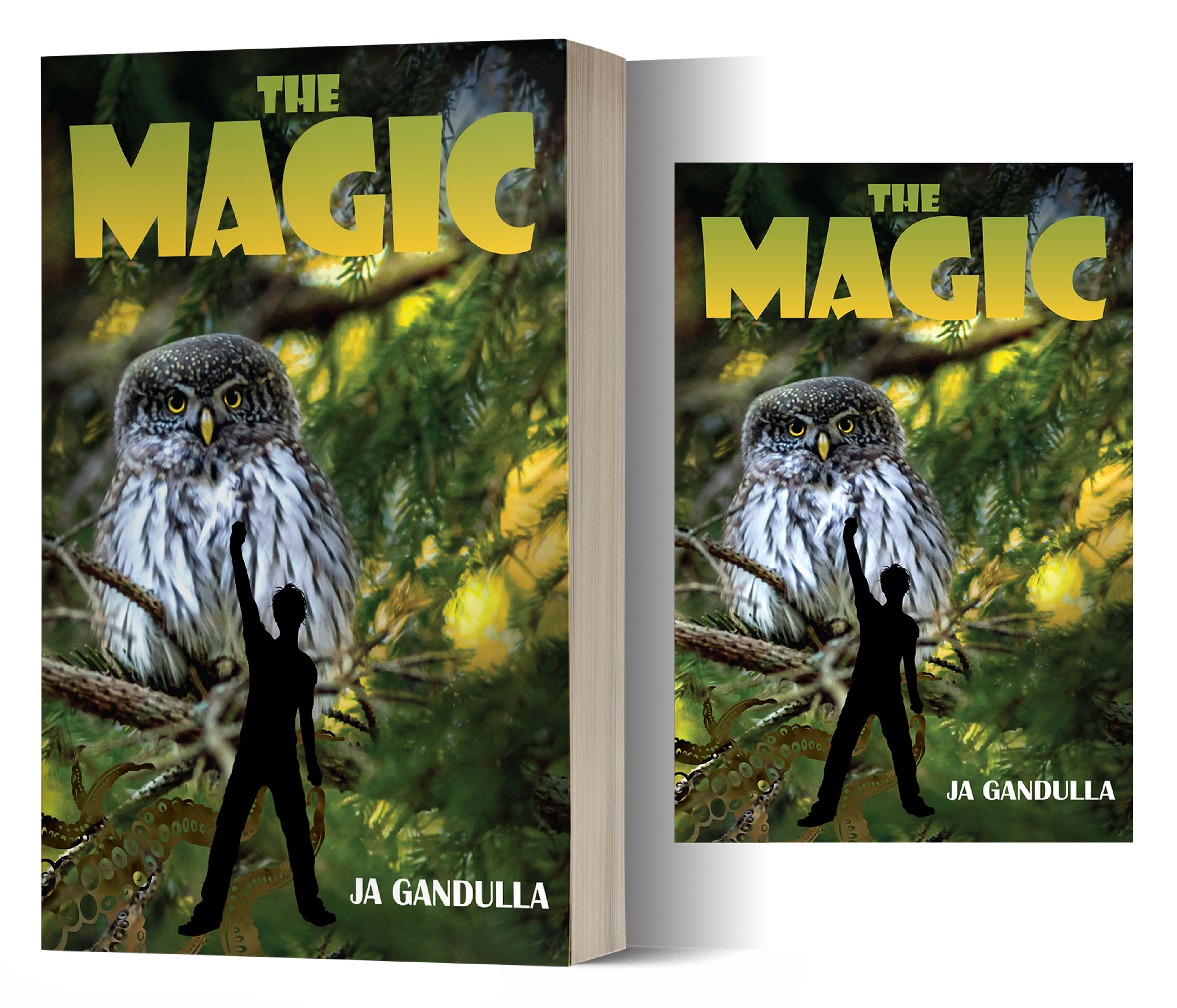 Diseño de portada de libro por Impressive Sol para este proyecto | Diseño #28155352