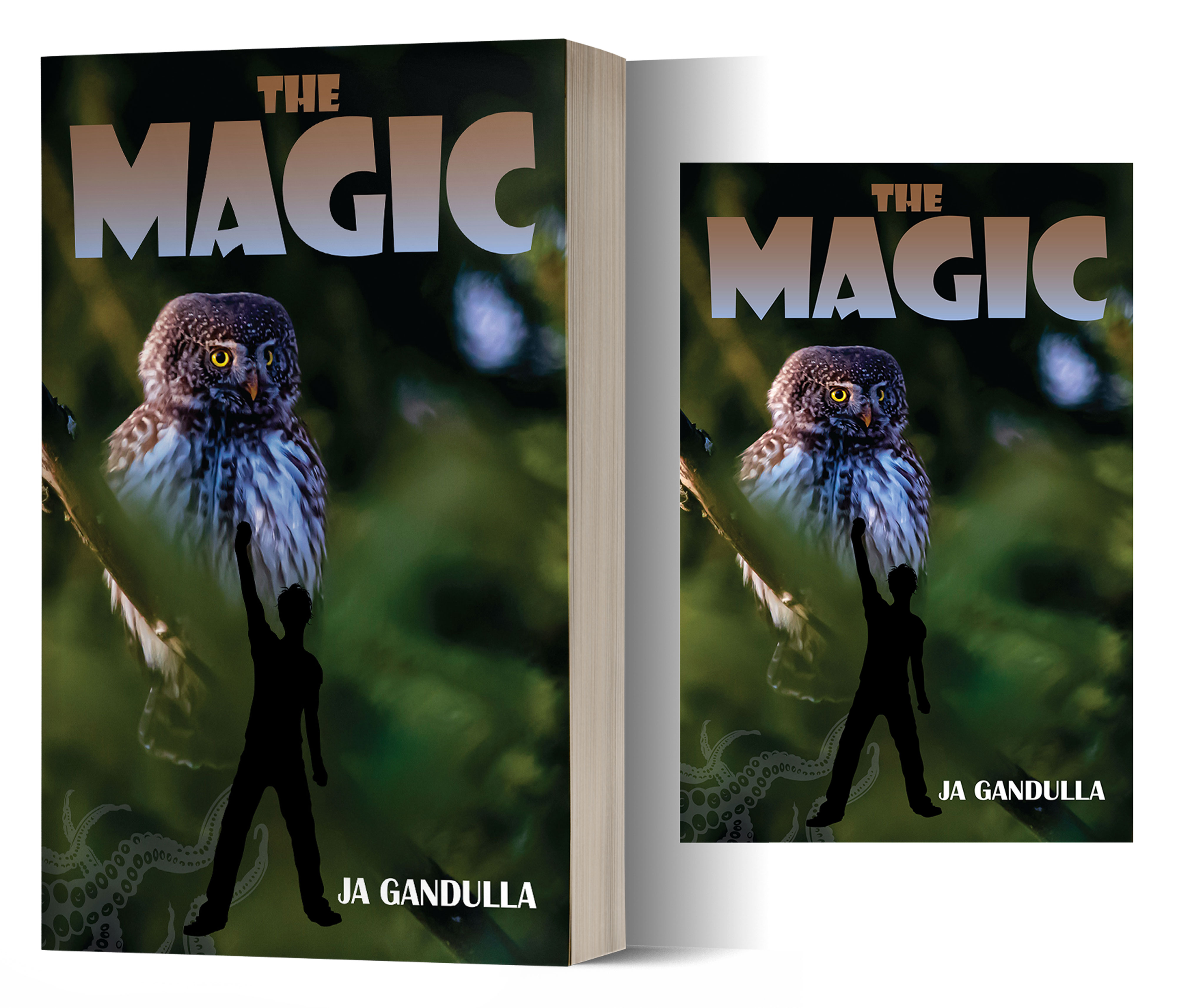 Book Cover Design by Impressive Solutions for this project | Design #28155353