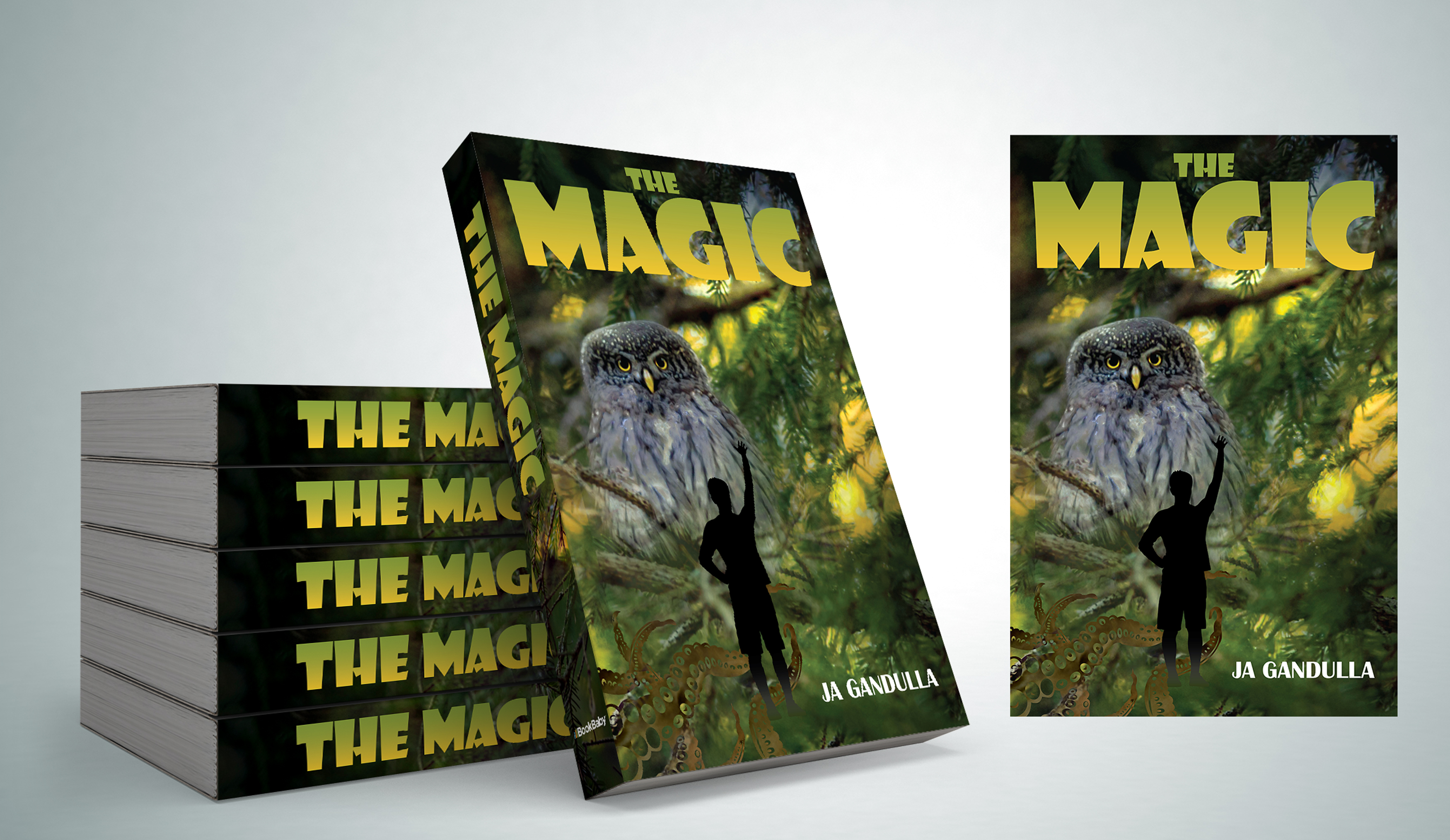 Book Cover Design by Impressive Sol for this project | Design #28167246