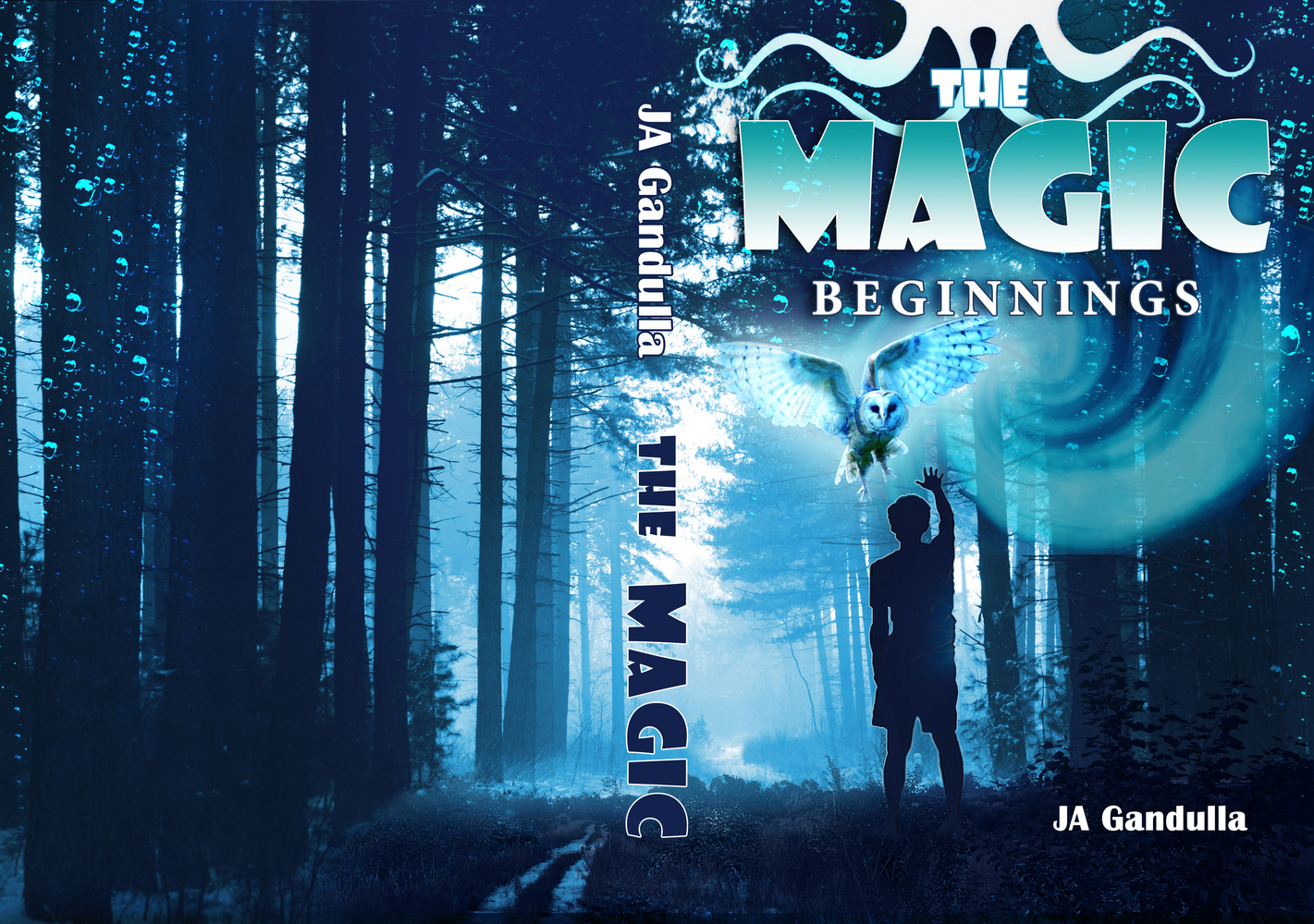 Book Cover Design by Tatyana Tomskaya for this project | Design #28136789