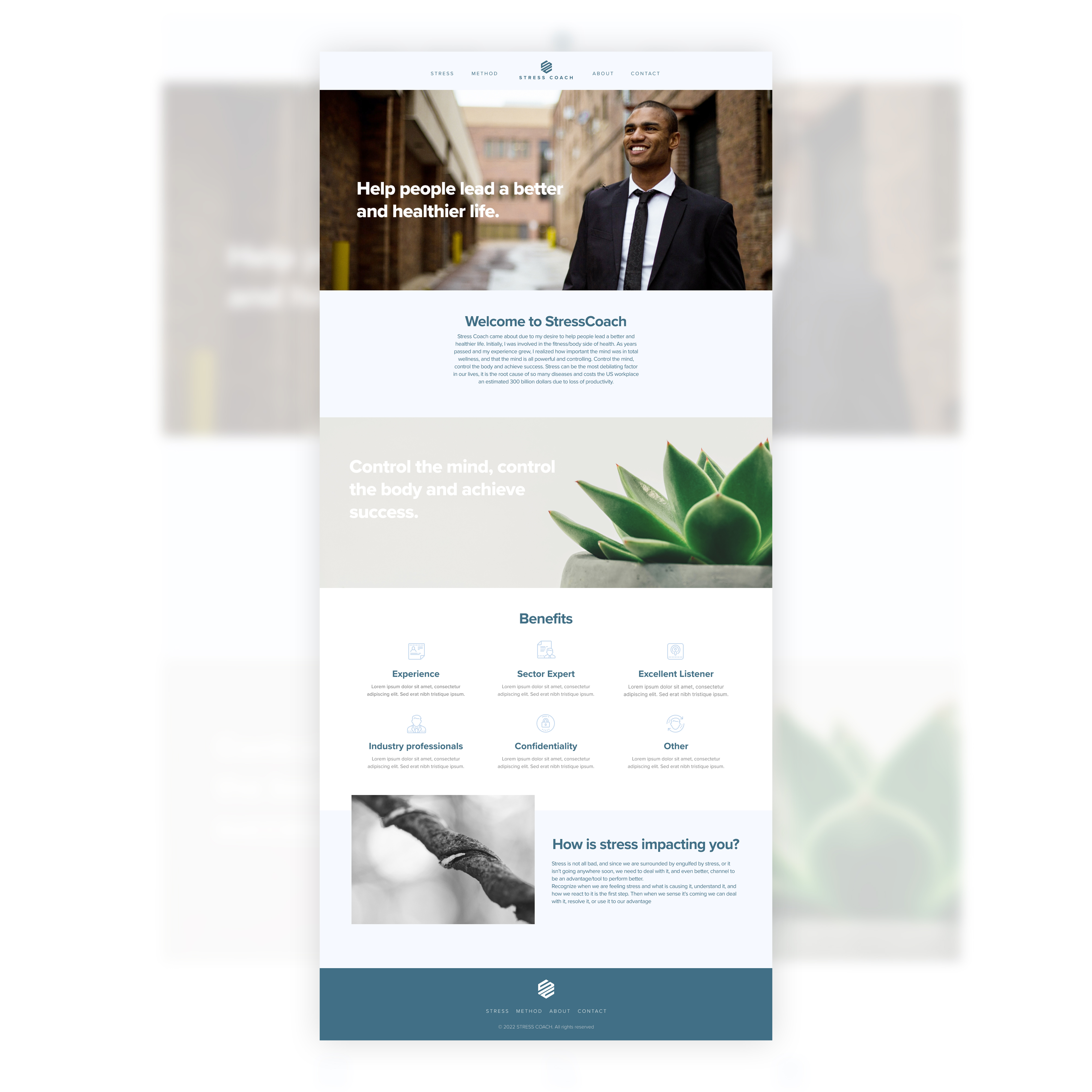 Web Design by manuelpolaina for Stress Coach | Design #28129491
