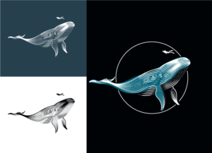 Vector Design by exoddinary