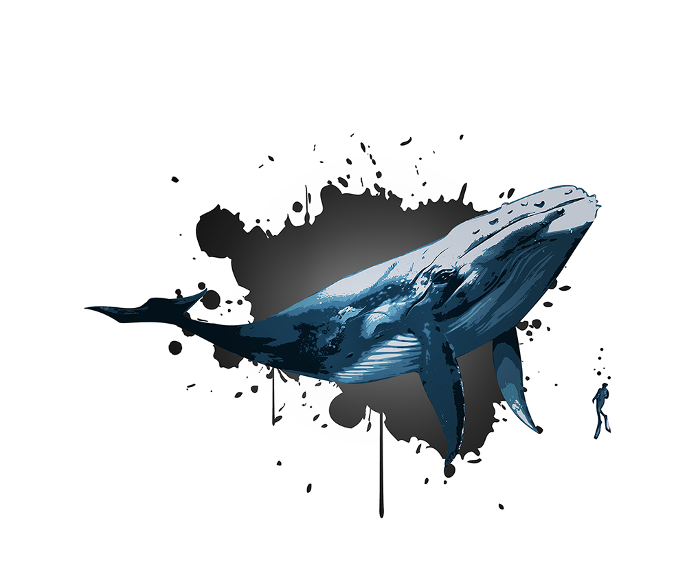 Vector Design by Kareem Afifi for this project | Design #28116334