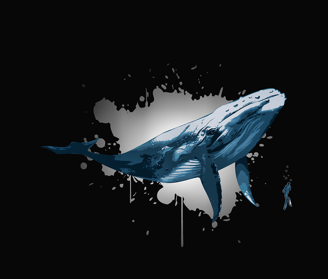 Vector Design by Kareem Afifi for this project | Design #28118177