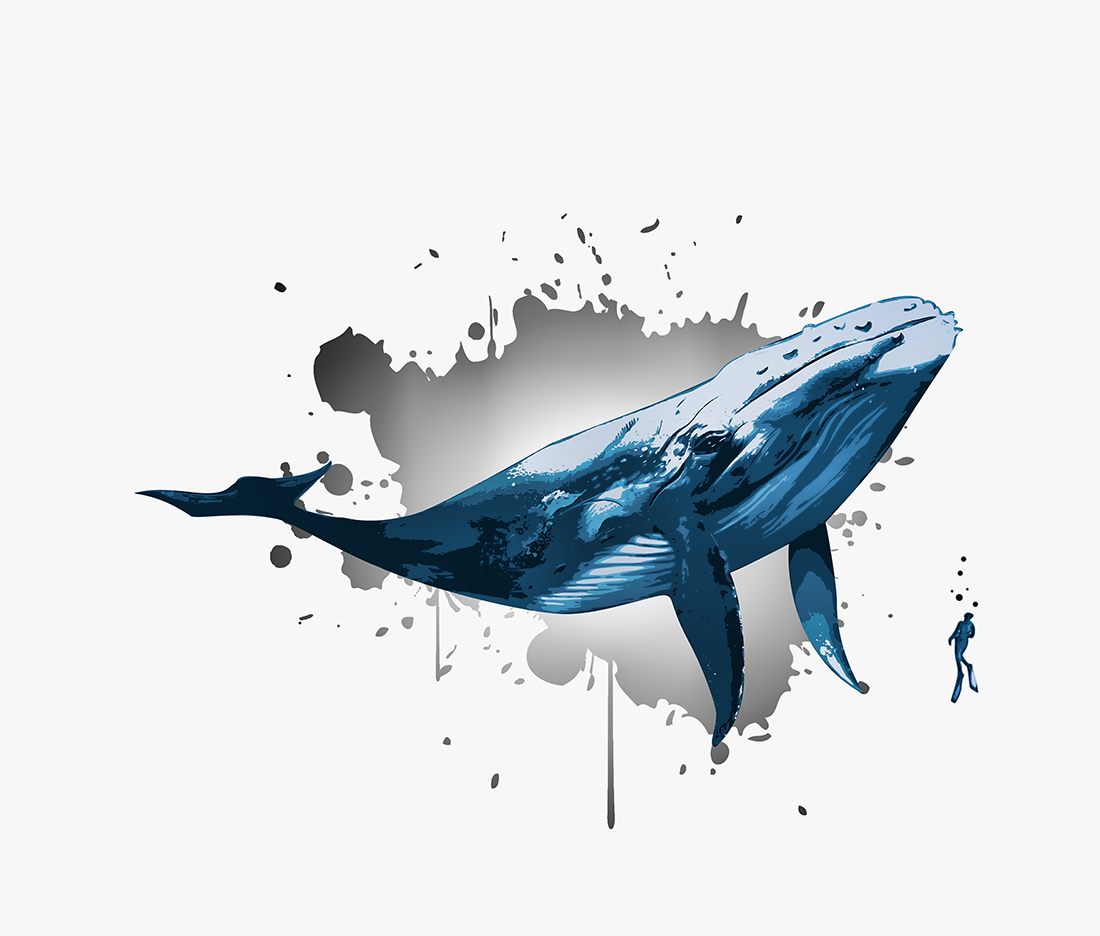 Vector Design by Kareem Afifi for this project | Design #28118220