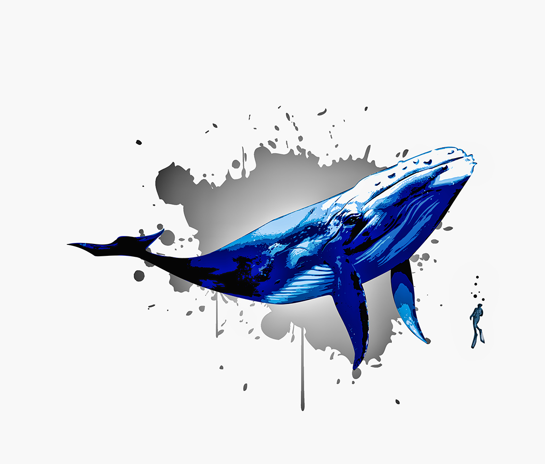 Vector Design by Kareem Afifi for this project | Design #28134767