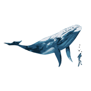 Vector Design by Kareem Afifi for this project | Design: #28161997