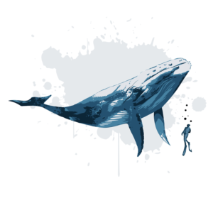 Vector Drawing of a Blue Whale | Vector Design by Kareem Afifi